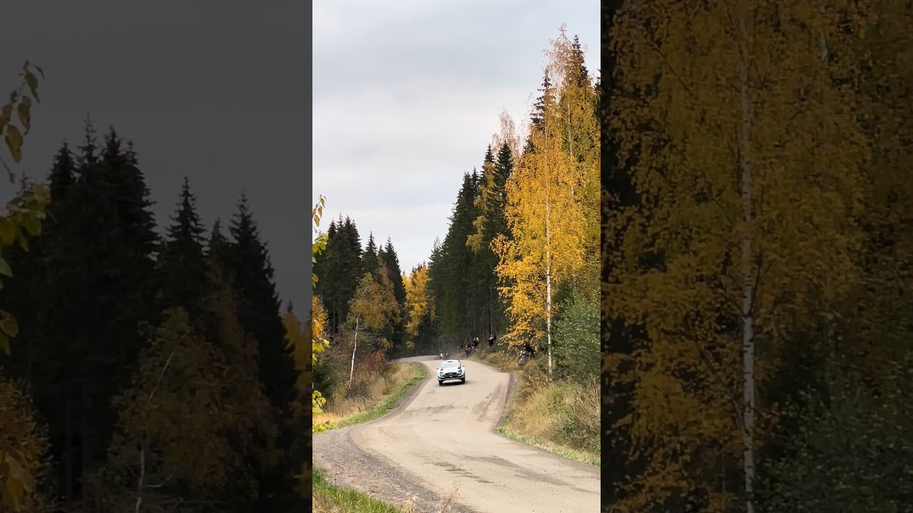 WRC Rally Finland 2021 Gus Greensmith 