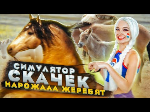 Видео: БЕЛЯШ НАРОЖАЛА ЖЕРЕБЯТОК ► СИМУЛЯТОР ЖОКЕЯ ► Состязание звезд: скачки