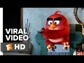 The Angry Birds Movie VIRAL VIDEO - AMC Video (2016) - Animated Movie HD