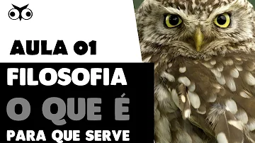 Qual a função da filosofia para formação humana?