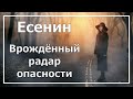 Есенин. Базовая БИ. Врождённый радар опасности. Соционика.