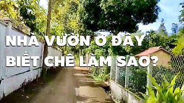 Bán vườn trái cây xum xuê tuyệt đẹp 2251m2 vị trí khó tìm được ở Kim Long (ĐÃ BÁN)