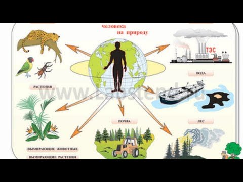 7 класс. Обществознание. Воздействие человека на природу