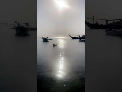 بحر السفانيه