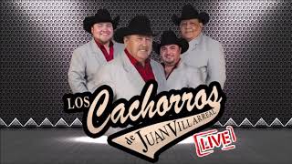 Los Cachorros de Juan Villarreal - Regalo caro [Live]