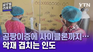 곰팡이증에 사이클론까지…악재 겹치는 인도 [글로벌 리포트] / YTN korean