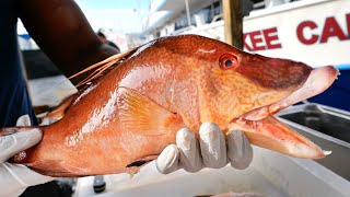 Еда Майами - Жареная Рыба Тако И Бутерброды Флорида Морепродукты Америка