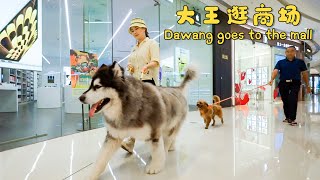 Take Dawang and Laifu who grew up in the countryside to the shopping mall