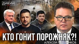 картинка: ОБМАНУТЫЕ  ОЖИДАНИЯ. АЛЕКСЕЙ ПЛОТНИКОВ ДЛЯ ДИКИЙ LIVE