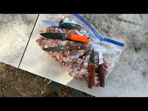 Knife Testing:Butchering With ProCut,52100,CPM1V