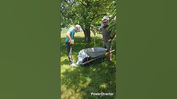 Doing some digging today getting ready for the fence posts!#bluecollar #home #construction #diy