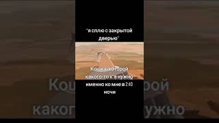 Мой Кот  #Мем #Tiktok #Memes