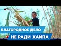 Тюки сена отправил житель Шымкента голодающим животным на западе Казахстана