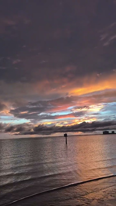 tampa bay