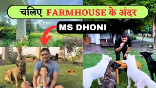 MS Dhoni's Birthday Celebration with His Dogs : Discover His Amazing Dog Breeds! by I LOVE DOGS 149 views 8 months ago 2 minutes, 8 seconds