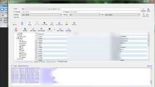 havij sql injection