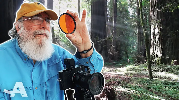 Everglades Photographer Wont Let a Stroke Stop Him