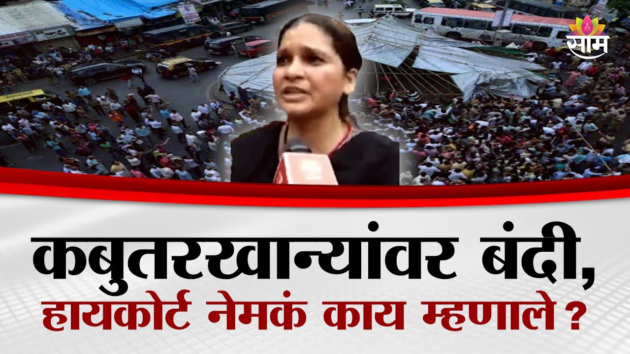 कबुतरखान्यांवर बंदी, हायकोर्ट नेमकं काय म्हणाले? | Dadar kabutarkhana