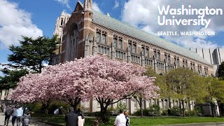 Visit to Washington University | Wonderful Campus in Seattle | Beautiful Nature View #EasyCookWorld