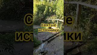 Русско-немецкая-швейцария #shorts #родники  #ключи #парки #скверы #путешествие