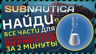 Subnautica ГДЕ НАЙТИ ИНКУБАЦИОННЫЕ ФЕРМЕНТЫ