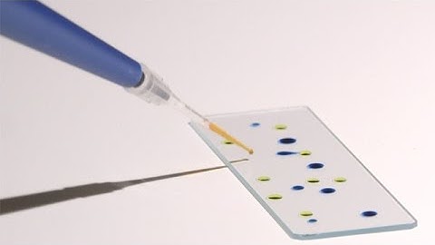 Stanford researchers solve the mystery of the dancing droplets