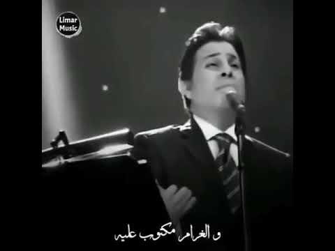 هاني شاكر هوه انتي لسه بتسألي