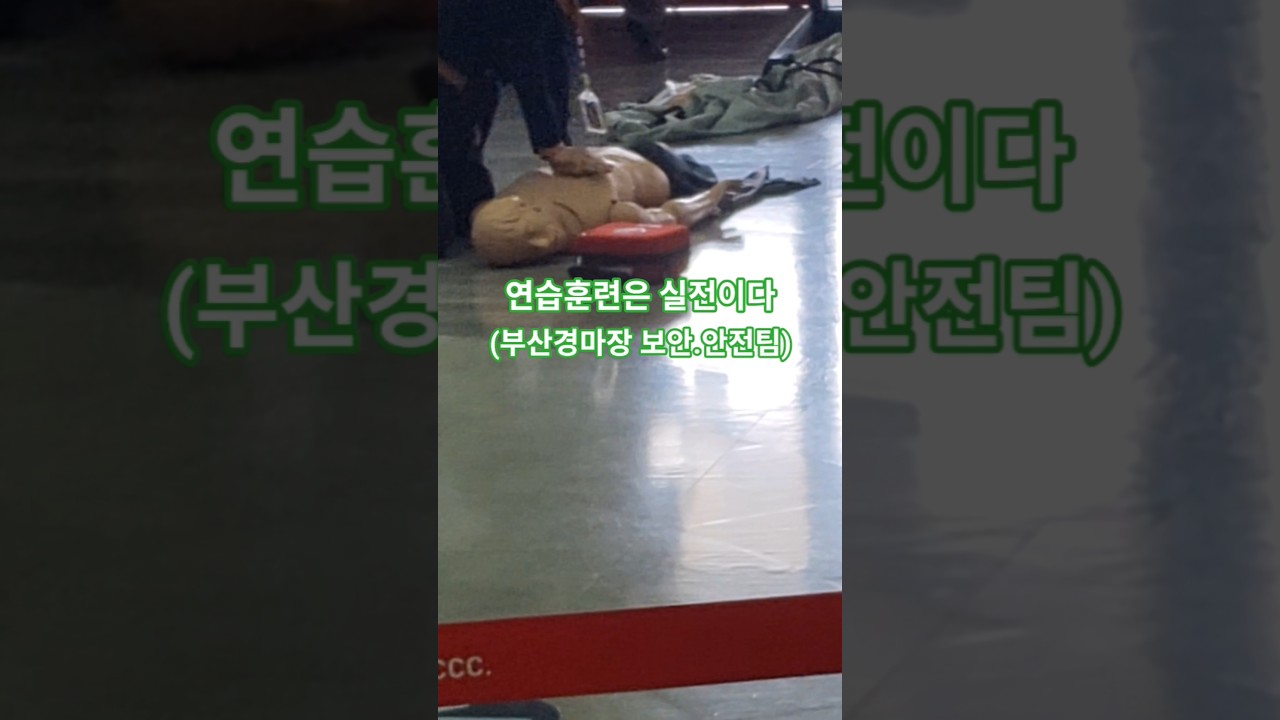 심폐소생술 모두 잘합니다^^ #경마 #말 #달려라말 #shorts