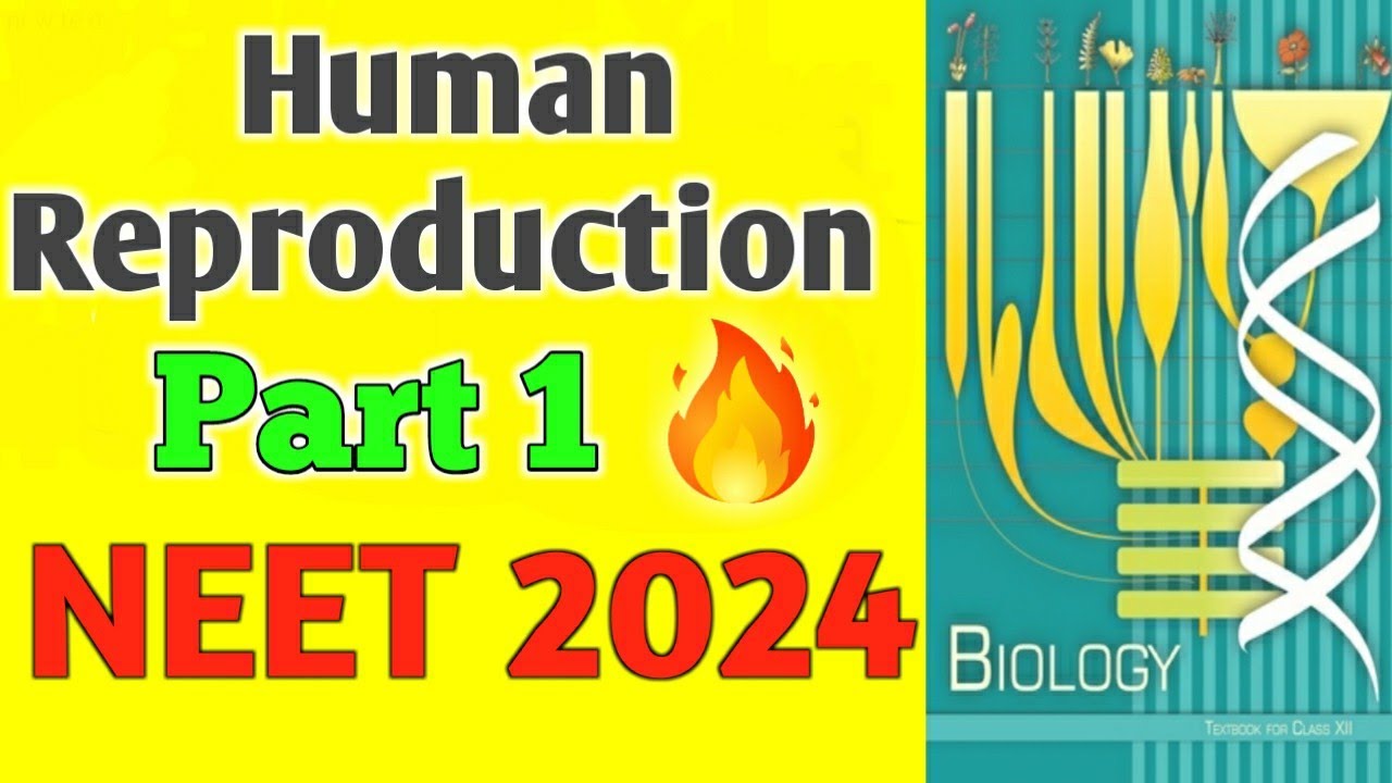 Line to line from new NCERT 💯😎 | Human Reproduction Part 1 | NEET 2024 ...