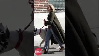 Famous Naomi Watts Walking A Dog Filming "The Friend" In New York City - 16 Feb 2024 Net Worth