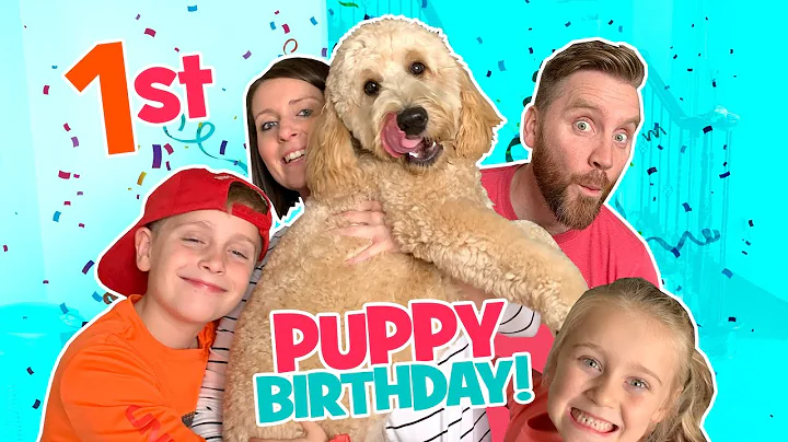 Theo is turning 1! Puppy's Birthday VLOG / K-City Family