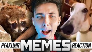 ХЕСУС СМОТРИТ МЕМЫ | REACTION TO UNUSUAL MEMES COMPILATION V164 | РЕАКЦИЯ
