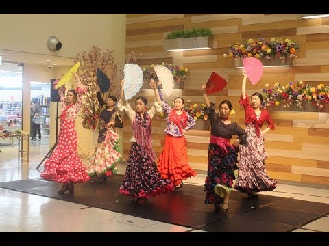 郡山エスパル ひろうえん フラメンコ上演 Y Chiaki フラメンコ教室 Youtube