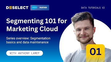 Segmentation 101 overview: Segmentation basics and data maintenance