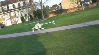 T-Rex RC Helicopter in Park