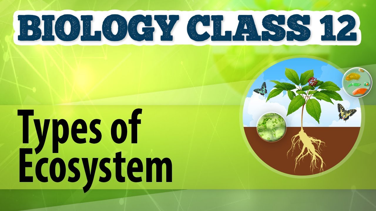 Types of Ecosystem - Organisms and Environment 1 - Biology Class 12