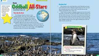 3rd Grade ELA Week 6: Text Features Part 4