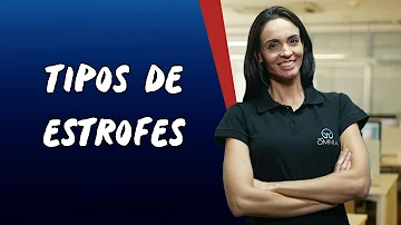 Quantos versos há em cada estrofe como se chamam essas estrofes *?