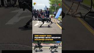Taiwan unveils military robot dogs for future operations | #shorts