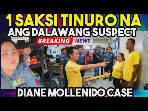 BREAKING NEWS! 1 SAKSI ITINURO NA DIUMANO KUNG SINO GUMAWA ng PAGTUMBA KY DIANE MOLLENIDO at sa ANAK