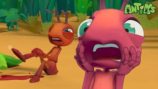 Boo Does All the Work 😅 A Funny Story About Teamwork and Honesty | Antiks | Tiny Dance Club