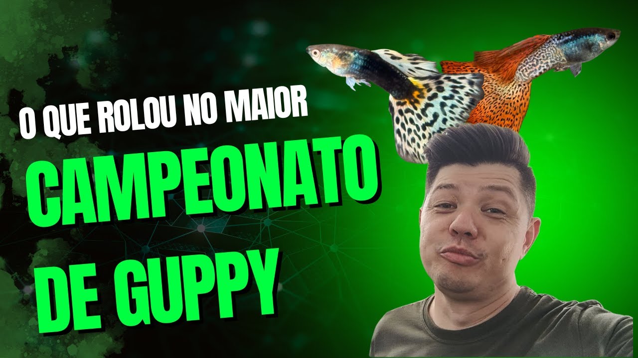 Padrão CCG revelado!!! Você já viu guppy maior que Betta? Veja o show e os bastidores da 47°CCG-RJ