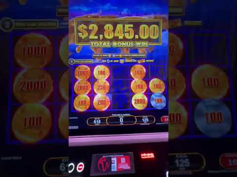 Win казино вход