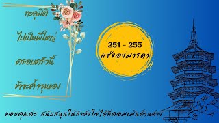 ตอน 251 - 255 แซ่ของมารดา