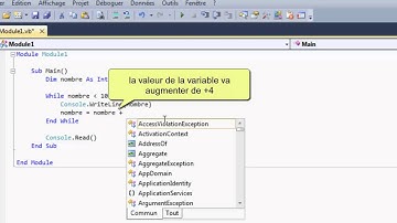 10 - VB.NET - la boucle While