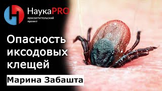 Марина Забашта - Иксодовые клещи - переносчики возбудителей природно-очаговых инфекций(, 2017-07-20T10:06:58.000Z)