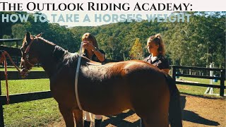 How to take a horse's weight - The Outlook Riding Academy