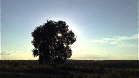 Thumbnail of Deutsches Volkslied - Es dunkelt schon in der Heide - The King's Singers.wmv