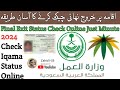 Final Exit Check Online Just Minute in 2024 I Khurooj Nehai Check Karne Ka Tareeka Iqama Status Chek