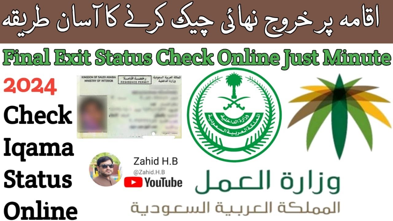 Final Exit Check Online Just Minute in 2024 I Khurooj Nehai Check Karne ...